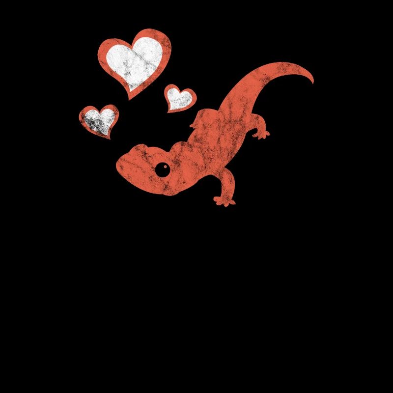 Salamander fire salamander amphibian gift lizard