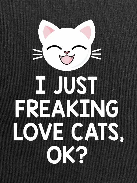 Katze