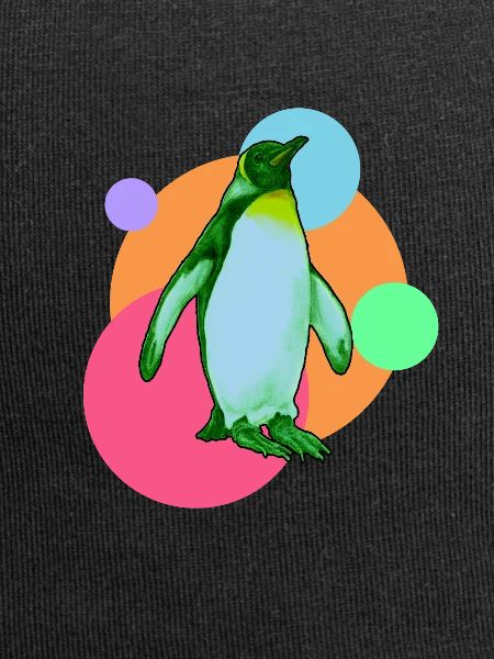 Penguin seabird South Pole