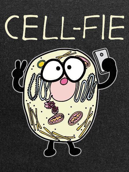 Cell biology