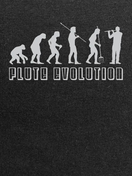 Flöte Evolution