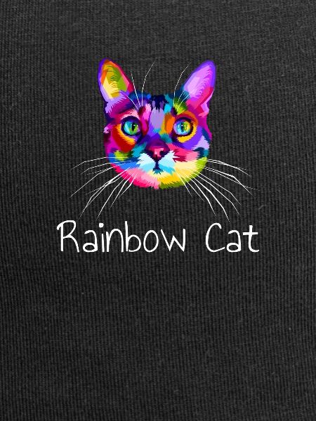 Rainbow cat