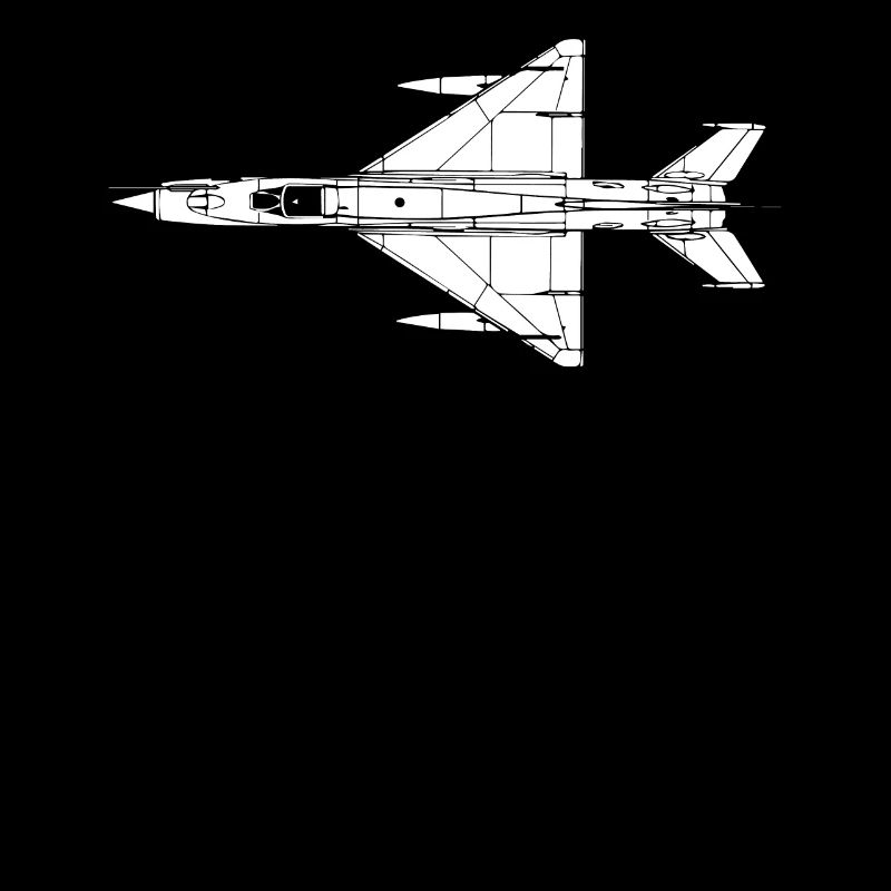MiG 21 Flugzeuggeschenk