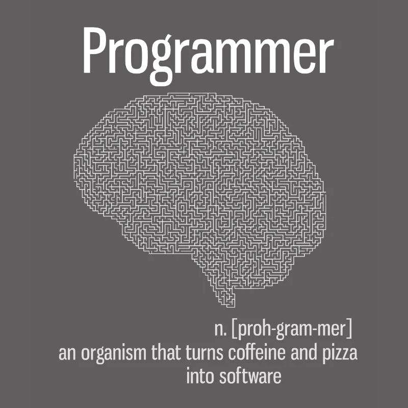 programmer brain pc informatik definition pizza lo