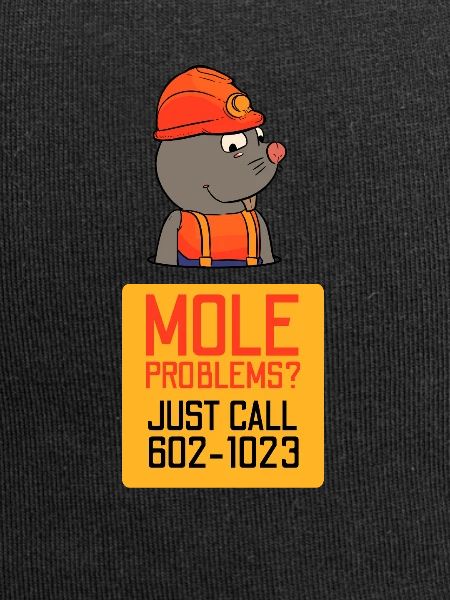 Mole Problems