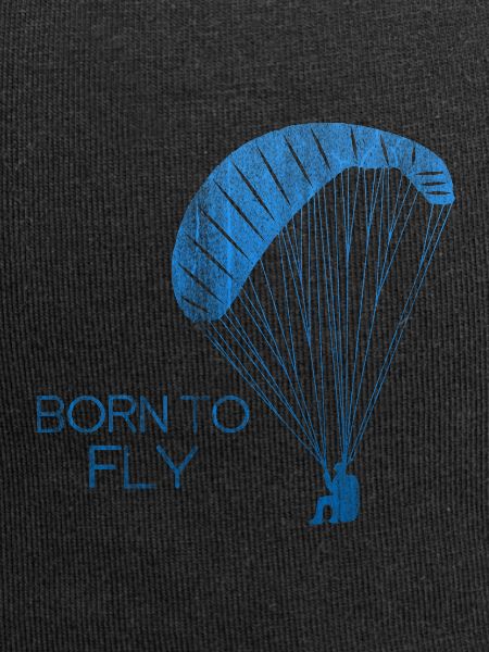 Paragliding pilot