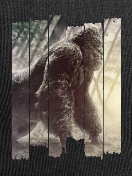 gorilla