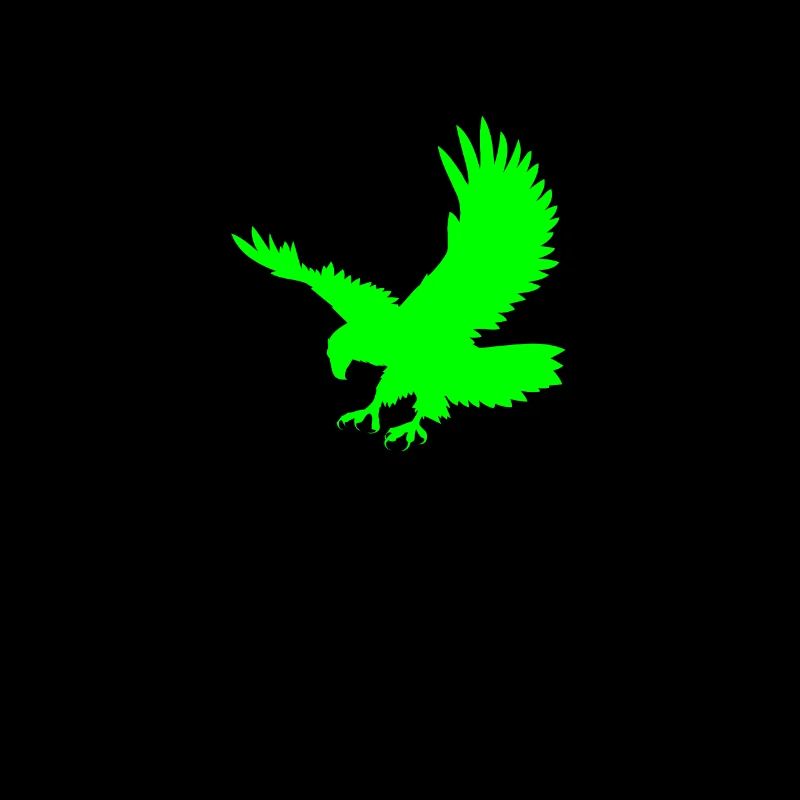 Eagle Golden Eagle Osprey aigle rapace