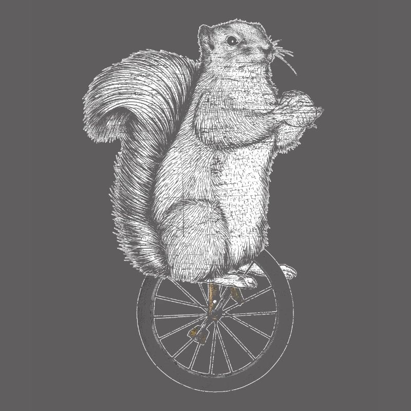 Squirrel unicycle