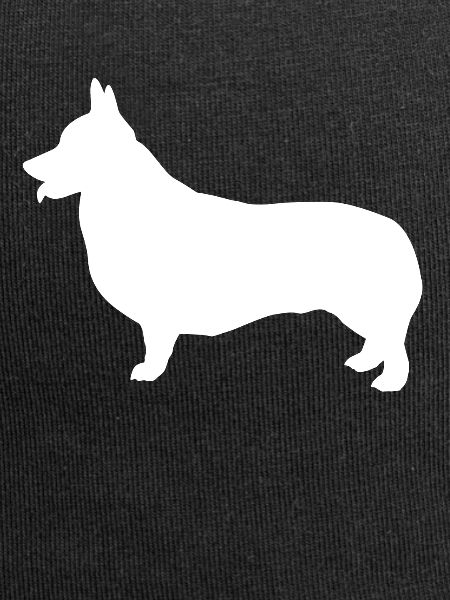 Corgi