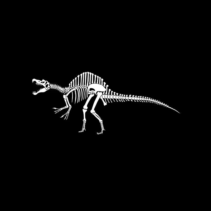 Éventail de dinosaure squelette de spinosaurus