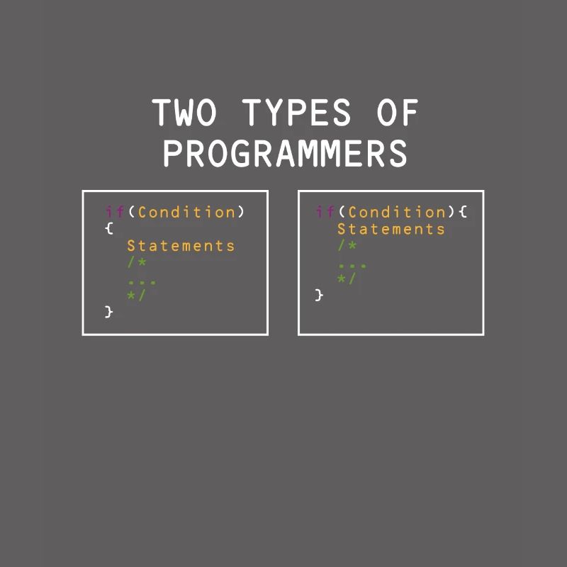 Two types of programmers PHP HTML IT Developer