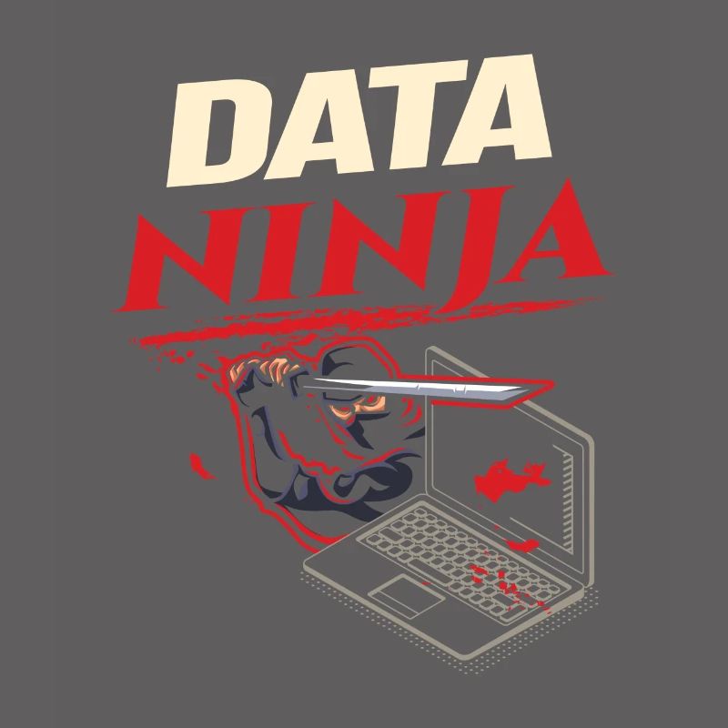 Data Ninja computer programming coder