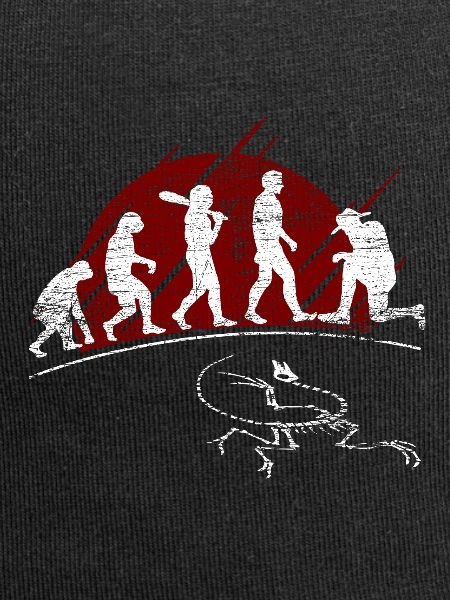 Archaeology Evolution