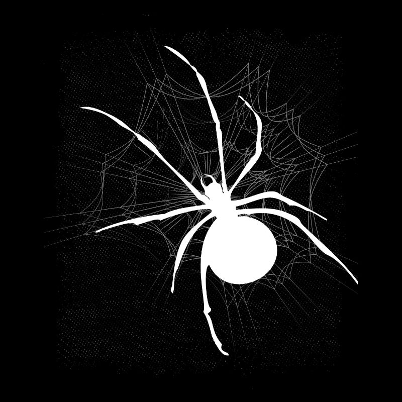Spinne