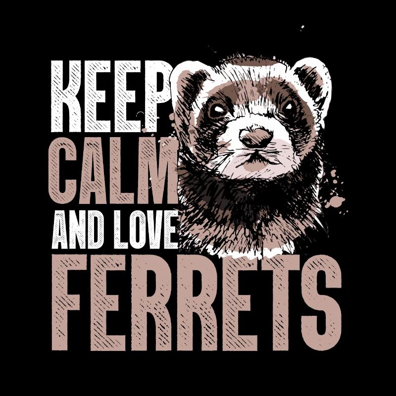 ferrets