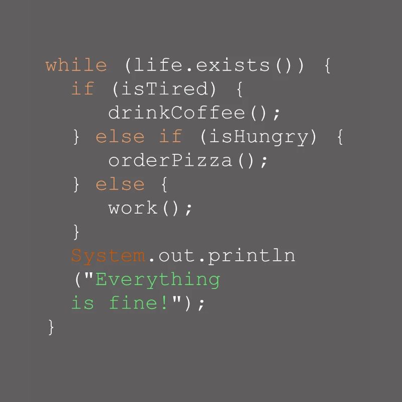 Programmation, programmeur et code de programme