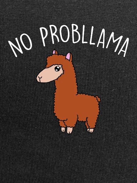 After Probllama