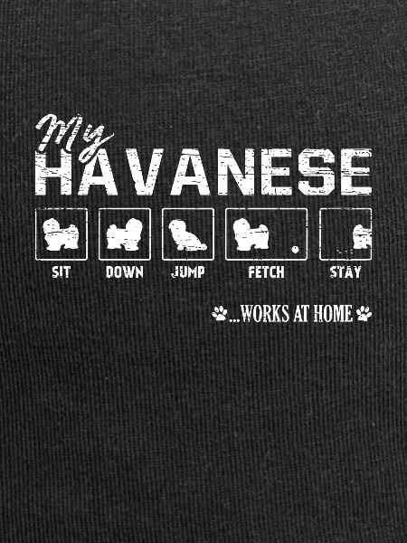 Havanese Havanese