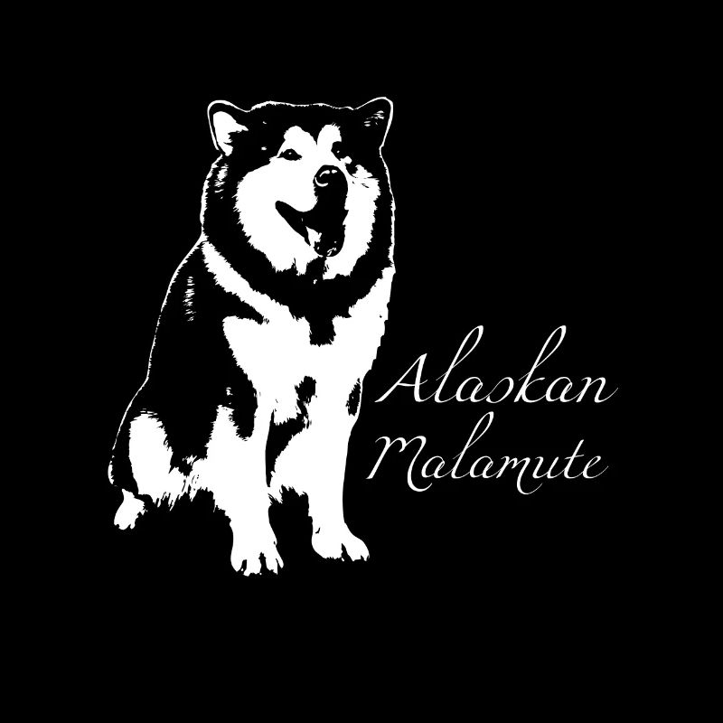 Malamute d'Alaska
