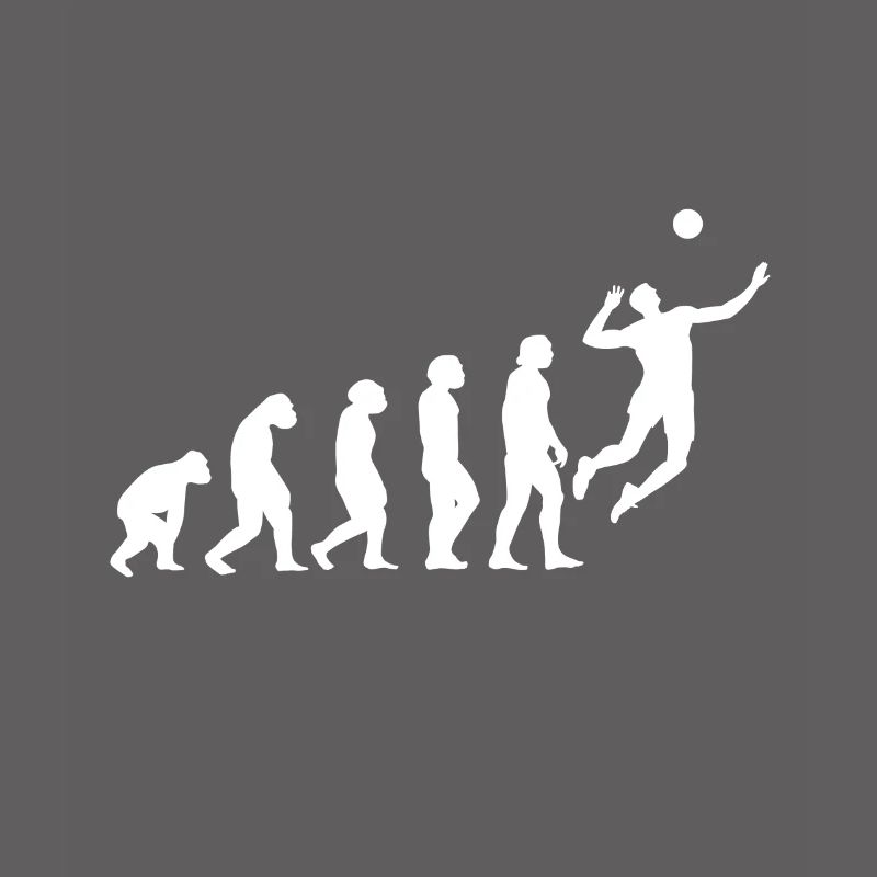 Evolution du volleyball