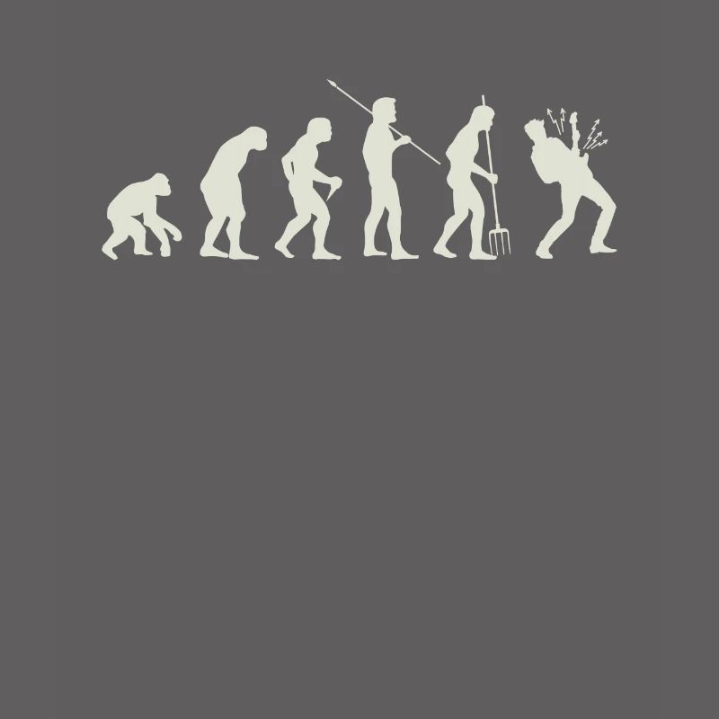 Evolution guitar