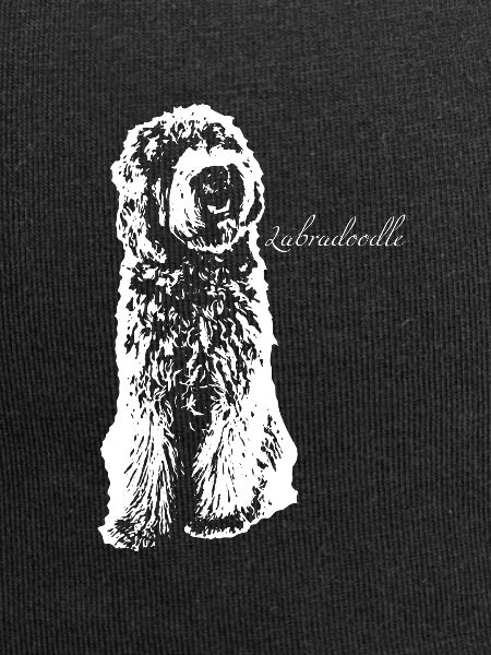 Labradoodle