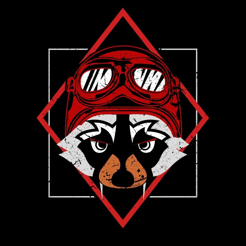 Fahrer cool Waschbär Geschenk