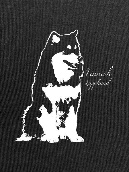 Finnish Lapphund