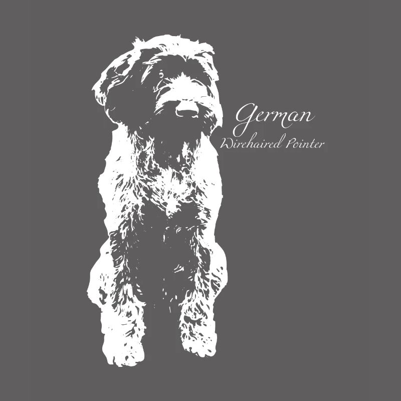 German Wirehaired Pointer