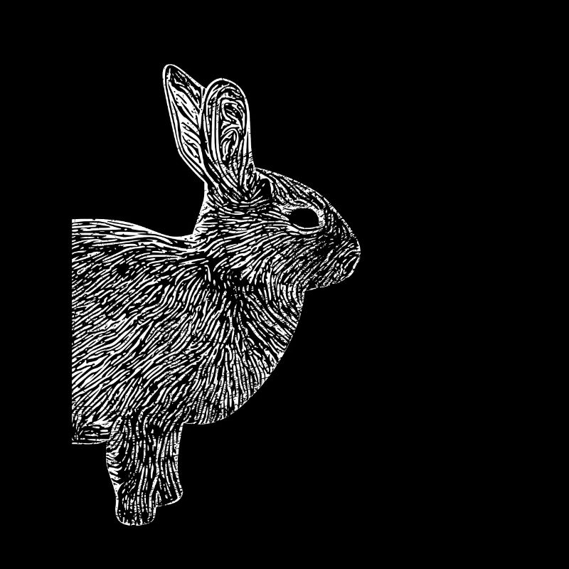 Lapin lapin nain