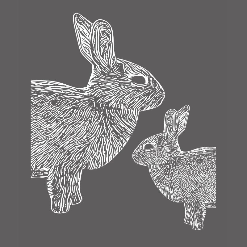 Pygmy rabbit