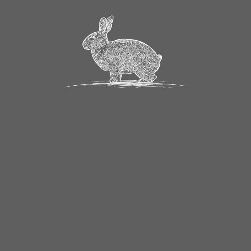 Rabbit Rabbit