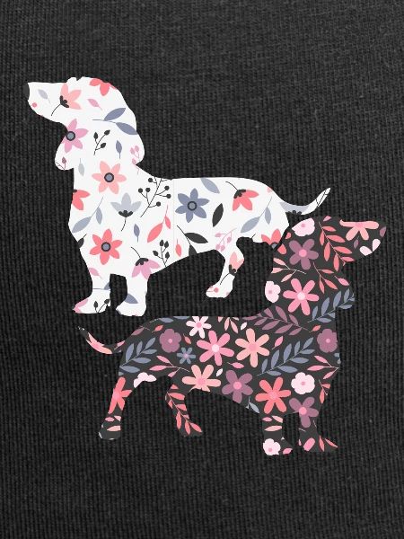 Dachshund dog