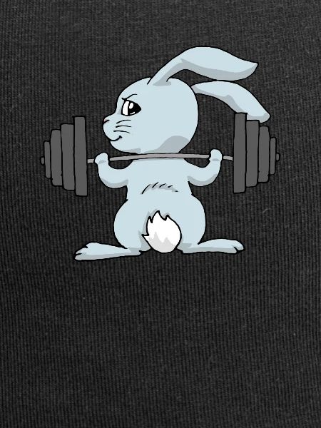Hase Training