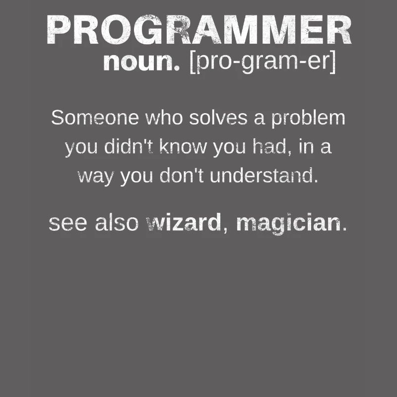 Funny gift programmer computer explanation