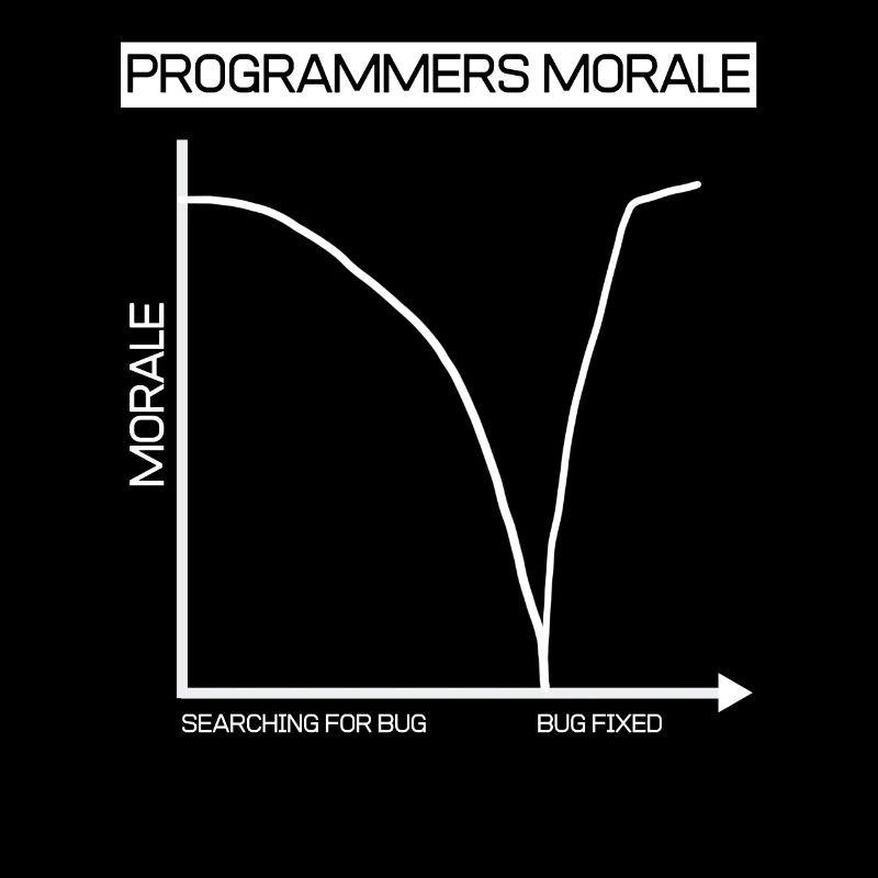 Diagramme d'ordinateur de programmeur de cadeau drôle