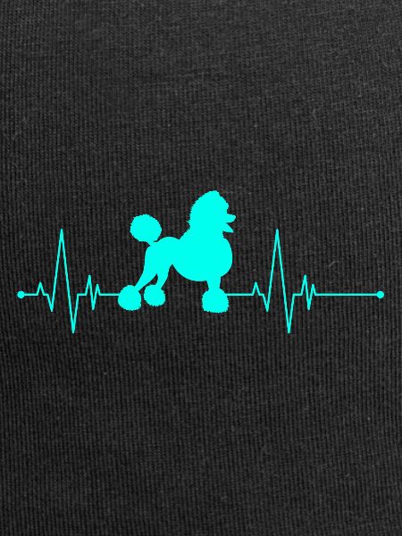 Poodle heartbeat