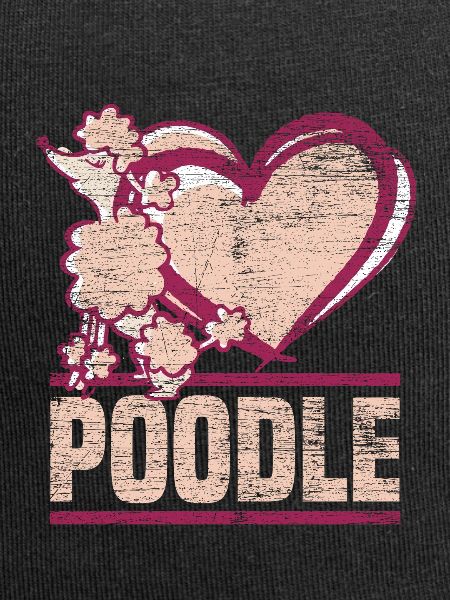 poodle