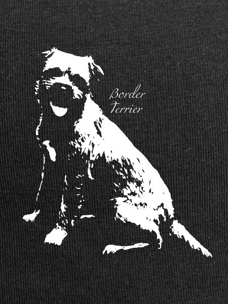 Border Terrier