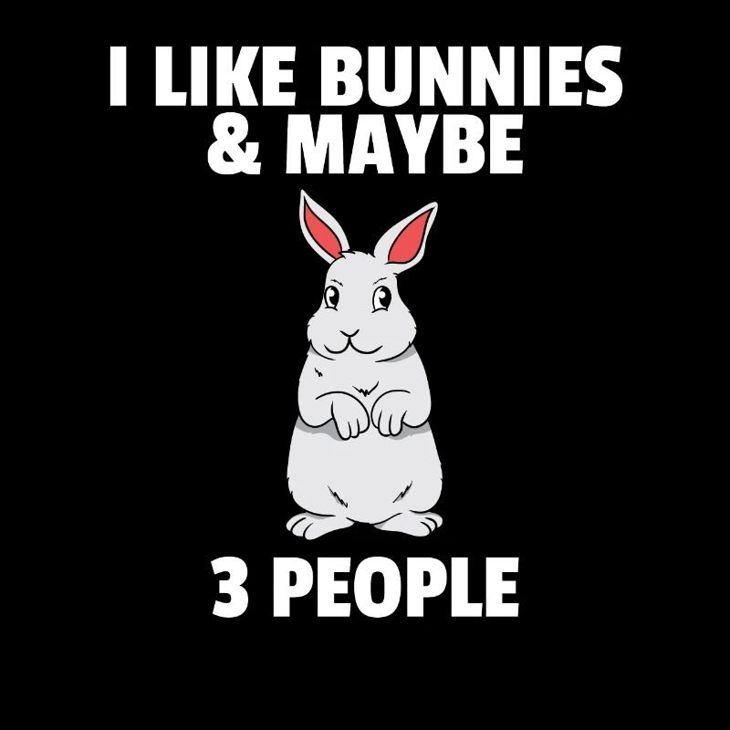 Rabbit Rabbit Dwarf Rabbit Sweet Rex Gift
