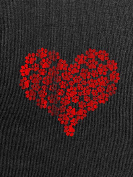 Dogs heart