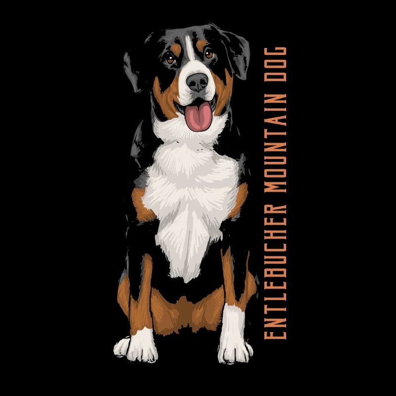 Entlebucher Sennenhund