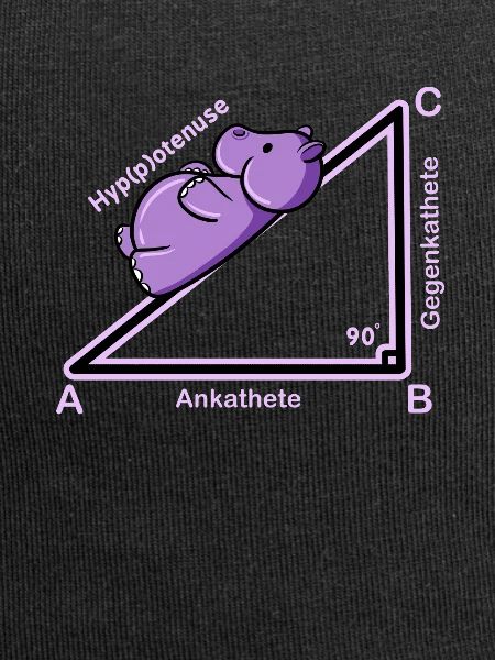 Hyppothenuse math Funny teacher