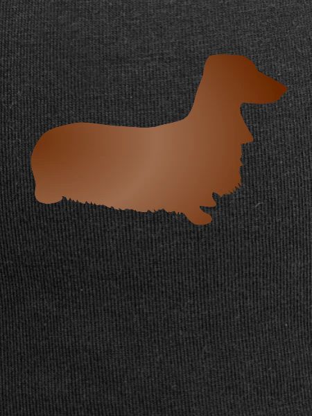 Dachshund