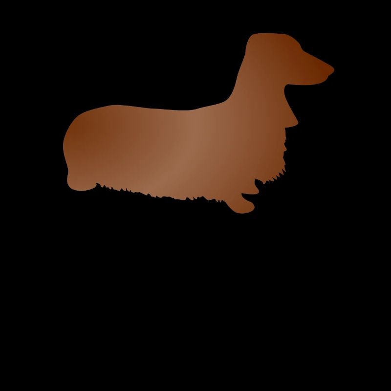 Dachshund