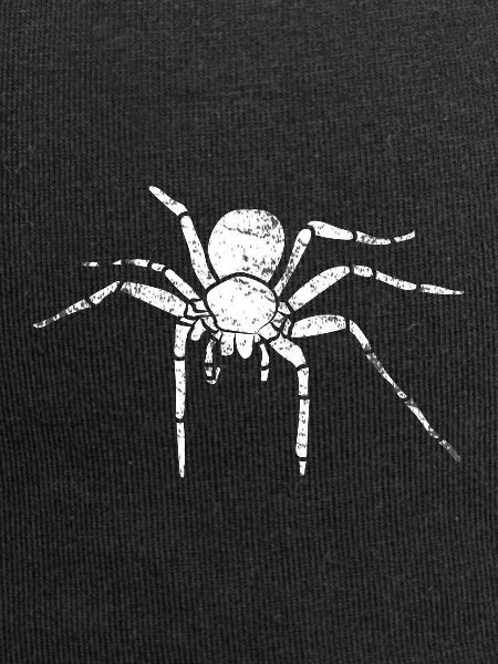 spider