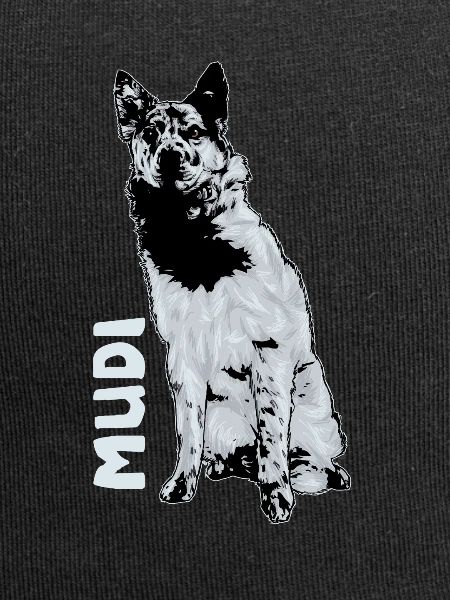 Mudi