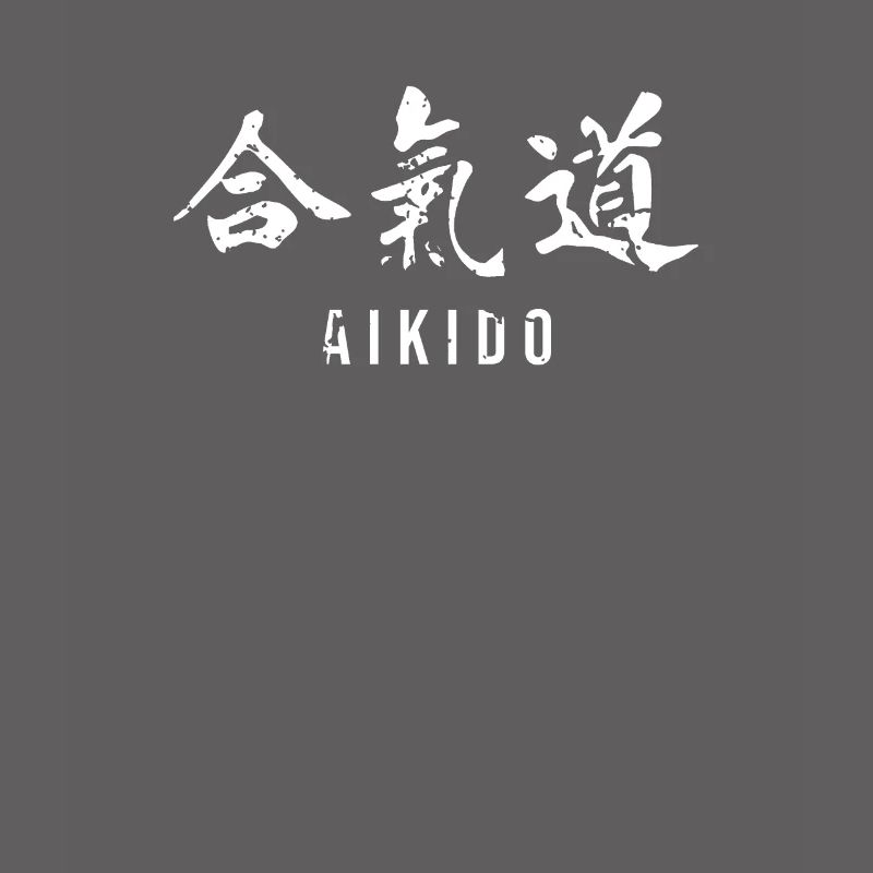 Maître aïkido