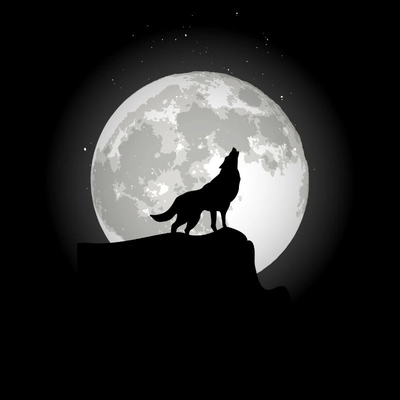 Loup sur un rocher au clair de lune.